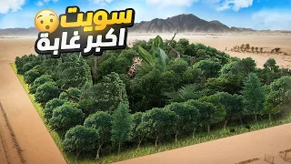سويت اكبر و اضخم غابة | ماراح تصدق التكلفة !! 😱🌲