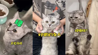【布丁仔和泡芙妹的一天】對不起布丁，媽媽想很久，最後還是決定帶你去絕育，希望你不要記恨我😭