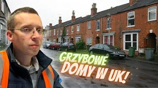 ZMYWAK: OFIARA BRYTYJSKIEJ JAKOŚCI!