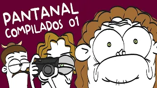 Compilados - Pantanal animado 01