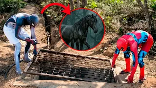 Homem aranha e o cavalo aranha na vida real