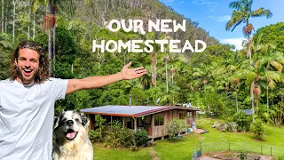 Tour of my dream off grid property! (Before I start work)