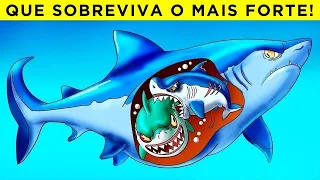 As Piores Mães Do Reino Animal