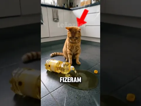 Animais Que Fizeram Muita BAGUNÇA. 🦌 #animals #curiosidades #cachorro