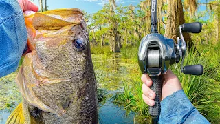 Fishing A HIDDEN Swamp FULL Of Double Digit Bass (Crazy Bites)
