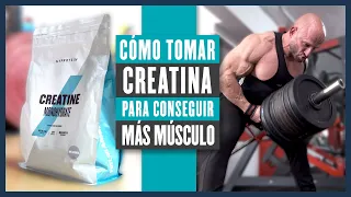 👉🏻 Cómo TOMAR CREATINA para AUMENTAR MASA MUSCULAR 💪🏻