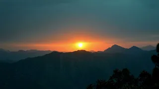 Cahelo - Bananaquit