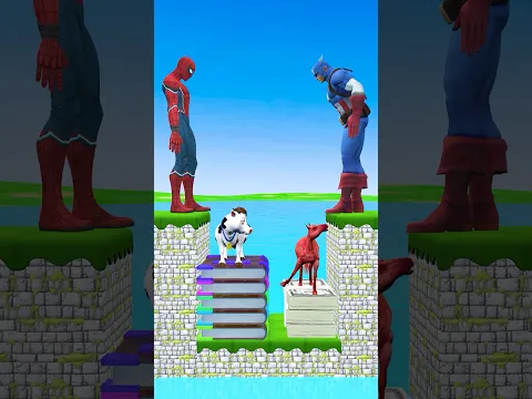Money vs Knowledge, What do you like? #Shorts #animation