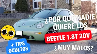 MAS DATOS IMPORTANTES SOBRE LOS 1.8T 20V| ¿QUE TIENEN DE MALO LOS BEETLE?| LOGS PARA DEJAR A PUNTO