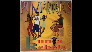 Punta Robics - Asaminara
