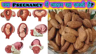 क्या Pregnancy में बादाम खा सकते हैं? Almond During Pregnancy! #pregnancy #baby #health #food #facts