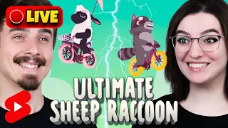 🔴SHORTS LIVE ULTIMATE SHEEP RACCOON #couple #ultimatesheepraccoon