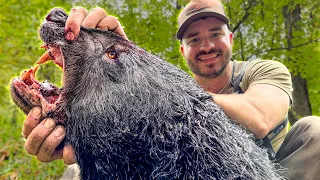 2 Days Hunting Aggressive Bear in the Appalachian Mountains!
