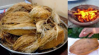 बवासीर का अचूक इलाज | दही और नारियल की छल से करे इलाज | Perfect treatment for piles.