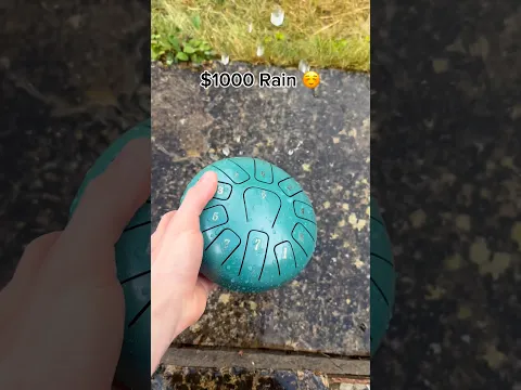 The other one is a clear winner 🤭🌦️ #raindrum #instrument #garden #home