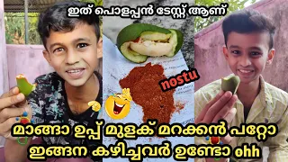 മാങ്ങാ ഉപ്പ് മുളക് മറക്കാൻ പറ്റോ 😁 ഇങ്ങനെ കഴിച്ചവർ ഉണ്ടോ 😂