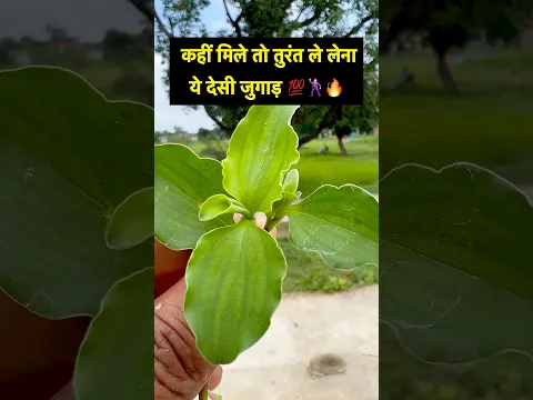 #plant