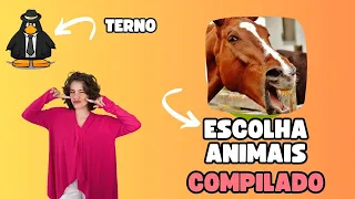 COMO OS ANIMAIS DECIDIRAM TUDO ? COMPILADO
