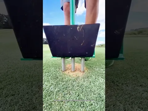 revived the dry grass.#shortvideo