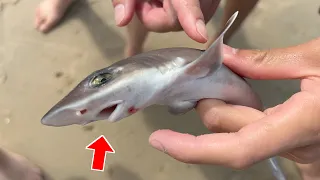 We Went Beach Fishing and Caught THIS?!