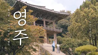 INFP가 번아웃을 이겨내는 방법 🔥 feat. 경상북도 영주 I 국내여행 브이로그