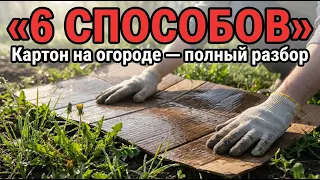 Зачем я собираю картон всю зиму: 6 способов применения на огороде