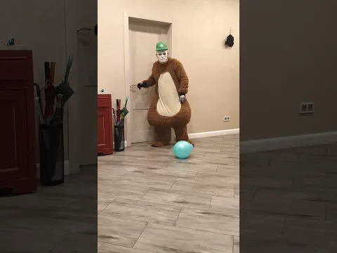 Someone brings a blue balloon to the dogs