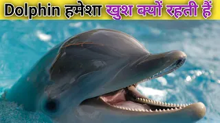 dolphin हमेशा खुश क्यों रहती हैं / dolphin always happy why?#dolphin #fish #happy #video by @ProfessorNitin