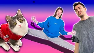TikTok CosefNastya Cat Videos 😢