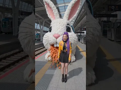 Cute Rabbit train brought carrots