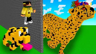 HO IMBROGLIATO CARLY NELLA GARA DI COSTRUZIONE DI MINECRAFT