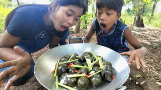 Survival Skills: SIMPLE and USEFUL with  Snail #bushcraft #camping #outdoors