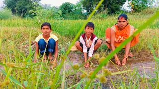 village funny video||gaon ki comedy 😂|wife husband comedy 😂| #viral #comedy #funny