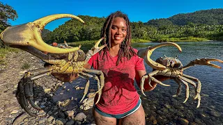 MASSIVE LAND CRABS - CAN I CATCH THEM WITH MY BAREHANDS??