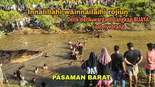 Mengerikan! detik-detik warga ditangkap buaya saat nyebrang