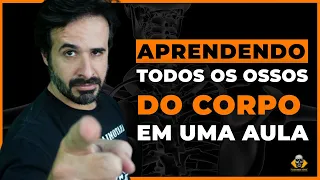 Aprendendo todos os ossos do corpo humano em uma aula