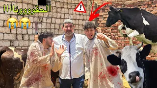 لما ابوك يسيبك في المزرعه لوحدك انت واخوك  مع البقرة والجاموس قبل العيد 🐄🥩😂| التوينز المحبوب