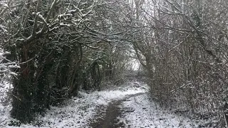 Snowy Winter Path | Snowstorm Wind Sounds for Sleeping, Soothing a Baby, Tinnitus (ASMR White Noise)