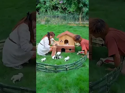 Chhote Khargoshon Ke Liye Banaya Pyara Sa Ghar 🐰🏠😍