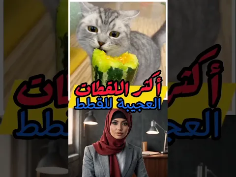 من أكثر اللقطات العجيبة للقطط!!✅💯