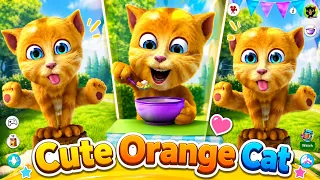 Talking Ginger - Tgg3
