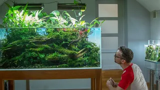 ASTONISHING AQUASCAPE GALLERY IN POLAND - MUST SEE FULL TOUR