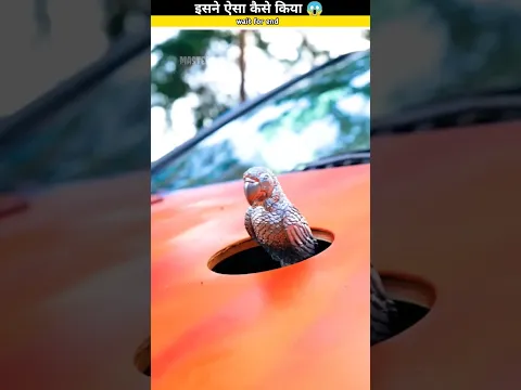 रोल्स रॉयस को फेल कर दिया 😮😳#shorts #youtubeshorts