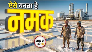नमक कैसे बनता है? इंडस्ट्री का कड़वा सच 😳 | Salt Manufacturing Process