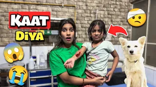 Danny Ne Kaat Diya 😱😭 | Daily Dolly Vlogs