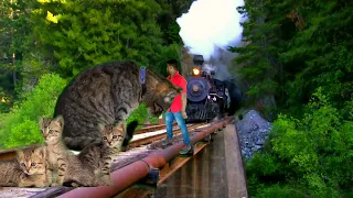 July 13 2021NEW TREND INVISIBLE VFX TRAIN  AND  CAT SAVE FUNNY MAGIC VIRAL VIDEO KINE MASTER EDITING