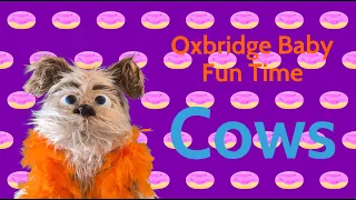 Oxbridge Baby Fun Time - Cows