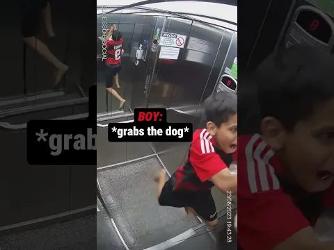 Dog Was Seconds Away😟