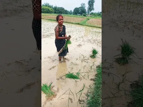 दबाया देवगन#song #update #nature #gameplay #sortssorts