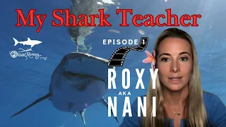 My Shark Teacher Roxy aka Nani @OneOceanSharks Ep.1 #OceanRamsey #Sharks #Shark #MySharkTeacher #omg